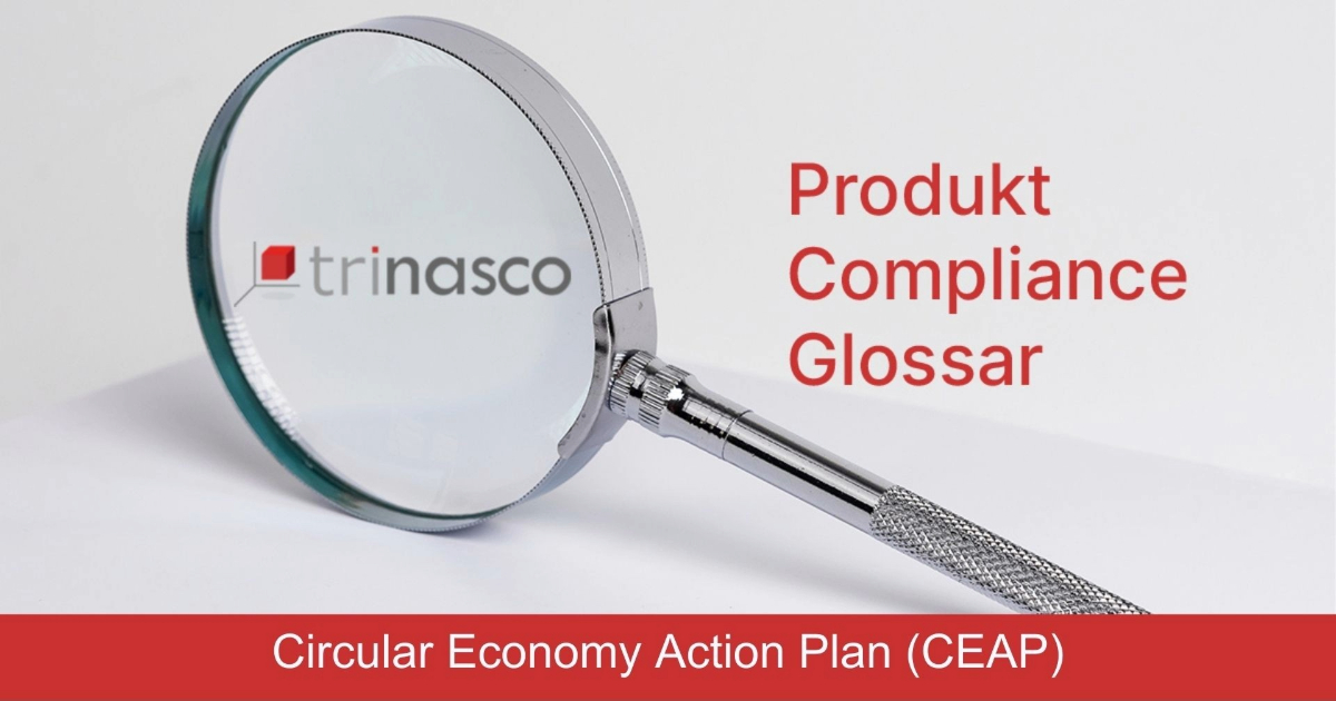 Circular Economy Action Plan (CEAP)